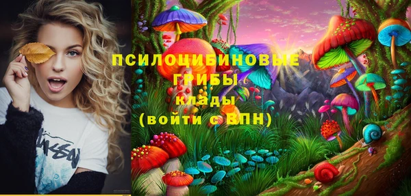 гашишное масло Гусев