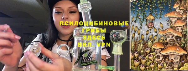 бошки Чердынь