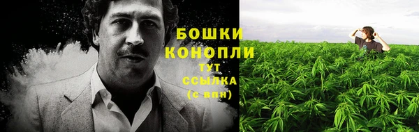 марки nbome Гусь-Хрустальный