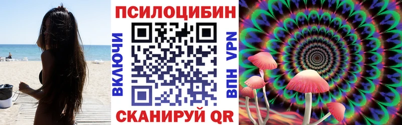 Псилоцибиновые грибы GOLDEN TEACHER  где купить наркоту  OMG как войти  Донской 